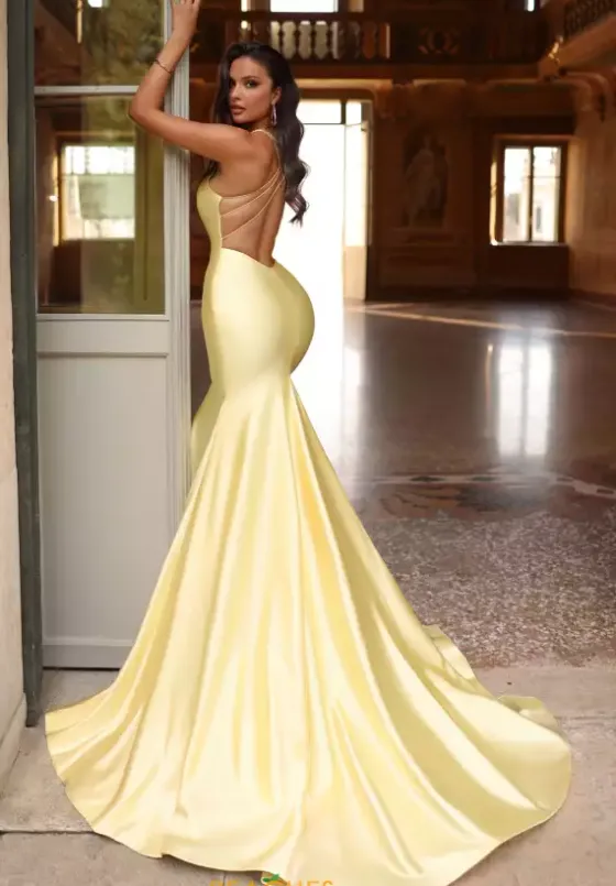 Wedding Guest|Quince Guest Dresses^Alyce Paris 61966