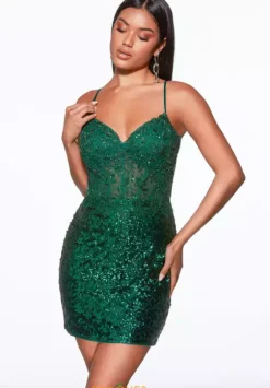 Bat Mitzvah|8Th Grade Dance^Alyce Paris 40034 Pine