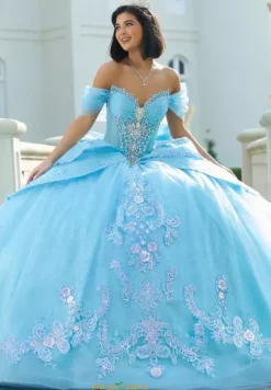 Sweet Sixteen|Plus Sized Quince Dresses^Amabella Q1054