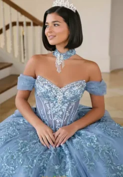 Sweet Sixteen|Plus Sized Quince Dresses^Amabella Q1086