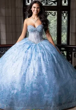 Sweet Sixteen|Plus Sized Quince Dresses^Amabella Q1021
