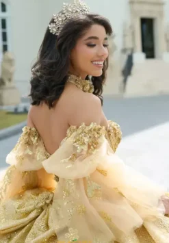 Sweet Sixteen|Quince Dresses With Sleeves^Amabella Q1051