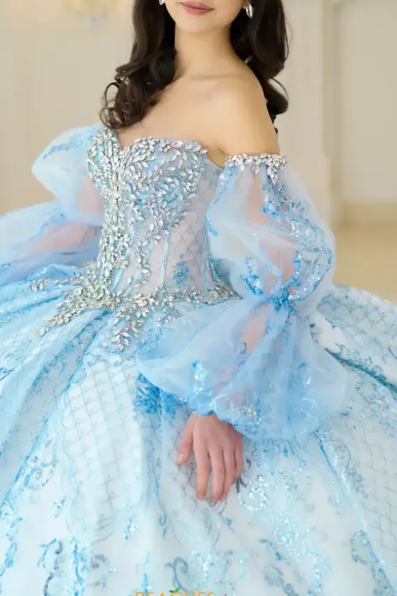 Sweet Sixteen|Quince Dresses With Sleeves^Amabella Q1059