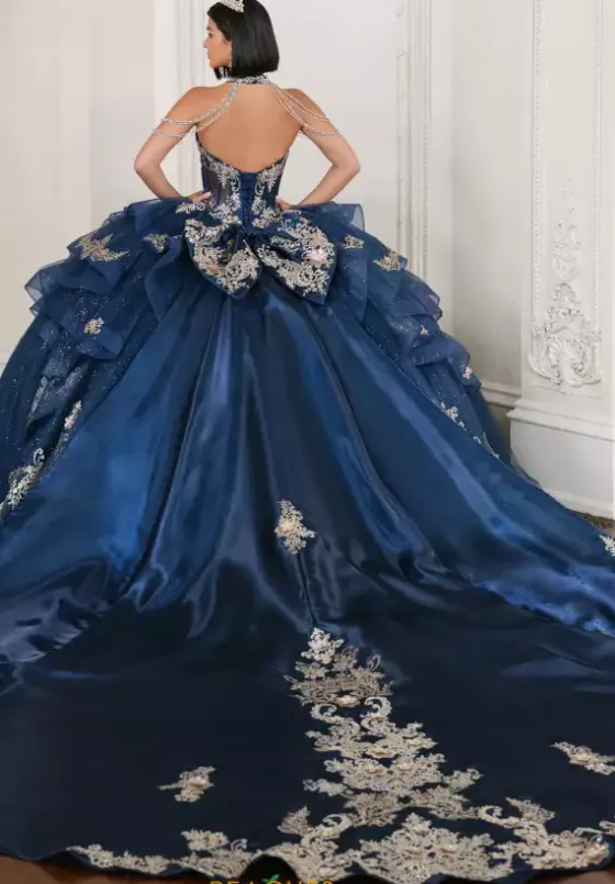 Sweet Sixteen|Plus Sized Quince Dresses^Amabella Q1080