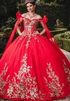 Plus Sized Quince Dresses|Sweet Sixteen^Amabella Q1005