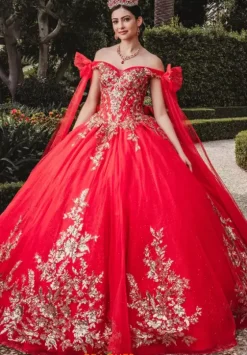 Plus Sized Quince Dresses|Sweet Sixteen^Amabella Q1005