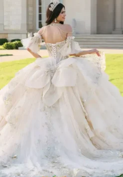 Sweet Sixteen|Plus Sized Quince Dresses^Amabella Q1096