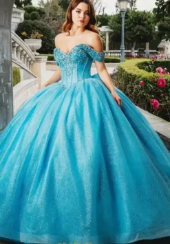 Plus Sized Quince Dresses|Sweet Sixteen^Amabella Q1013