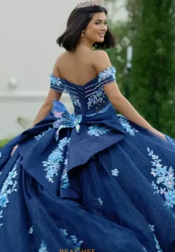 Sweet Sixteen|Plus Sized Quince Dresses^Amabella Q1056