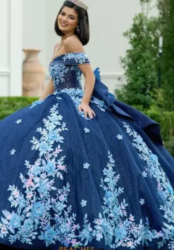 Sweet Sixteen|Plus Sized Quince Dresses^Amabella Q1056