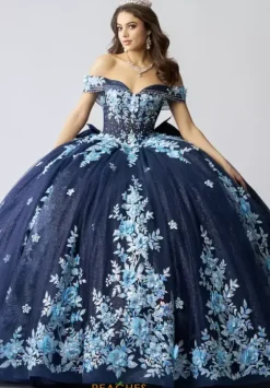 Sweet Sixteen|Plus Sized Quince Dresses^Amabella Q1056