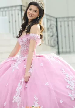 Sweet Sixteen|Plus Sized Quince Dresses^Amabella Q1056