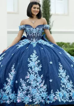 Sweet Sixteen|Plus Sized Quince Dresses^Amabella Q1056