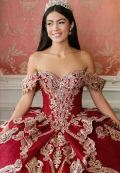 Sweet Sixteen|Plus Sized Quince Dresses^Amabella Q1089