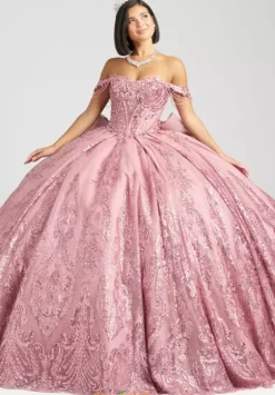 Sweet Sixteen|Plus Sized Quince Dresses^Amabella QA160