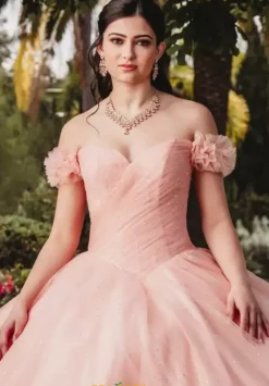 Plus Sized Quince Dresses|Sweet Sixteen^Amabella QA100