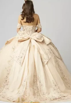 Sweet Sixteen|Plus Sized Quince Dresses^Amabella QA155