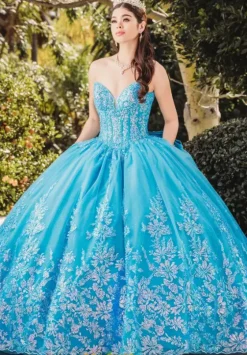 Sweet Sixteen|Plus Sized Quince Dresses^Amabella QA102