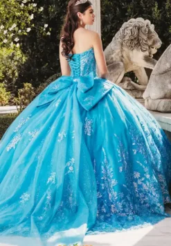 Sweet Sixteen|Plus Sized Quince Dresses^Amabella QA102