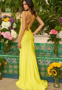 Wedding Guest|Quince Guest Dresses^Ava Presley 47207