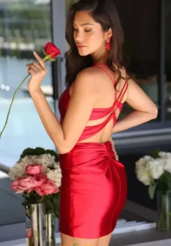 Short Homecoming Dresses|Quince Guest Dresses^Ava Presley 47131