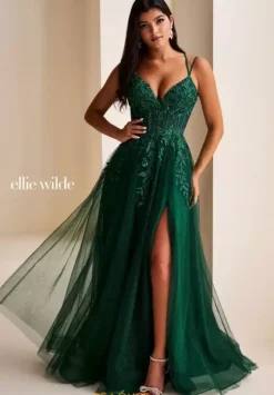 Long Dresses|Plus Sized Dresses^Ellie Wilde EW37212
