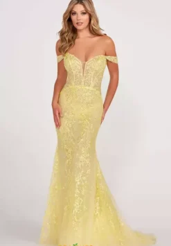 Long Dresses|Plus Sized Dresses^Ellie Wilde EW34007