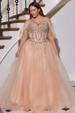 Long Dresses|Plus Sized Dresses^Ladivine by Cinderella La Divine by Cinderella CD721C