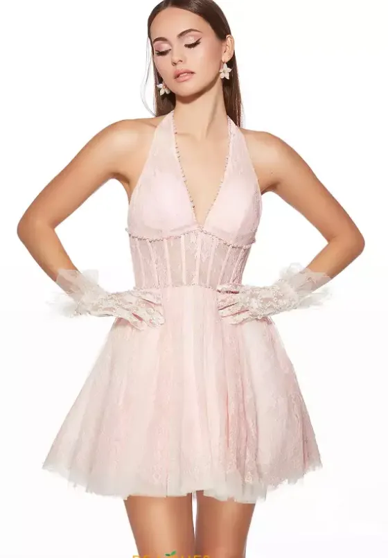 8Th Grade Dance|Plus Size Homecoming Dresses^Alyce Lace V Neckline Short Dress 30024
