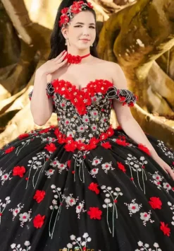 Plus Sized Quince Dresses|Sweet Sixteen^LizLuo Quinceanera 26099