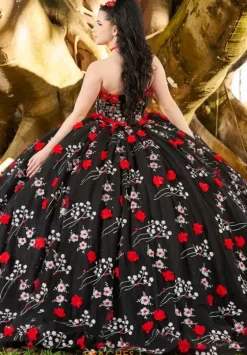 Plus Sized Quince Dresses|Sweet Sixteen^LizLuo Quinceanera 26099