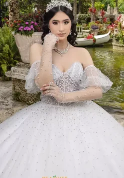 Plus Sized Quince Dresses|Sweet Sixteen^LizLuo Quinceanera 26102