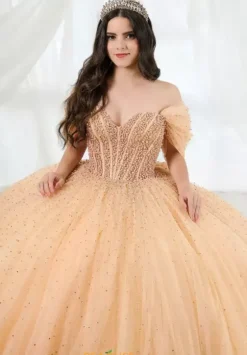 Plus Sized Quince Dresses|Sweet Sixteen^LizLuo Quinceanera 26102