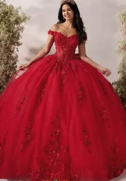 Plus Sized Quince Dresses^LizLuo Quinceanera 56548
