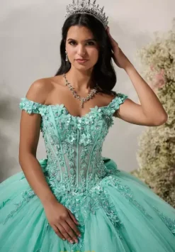 Plus Sized Quince Dresses^LizLuo Quinceanera 56548