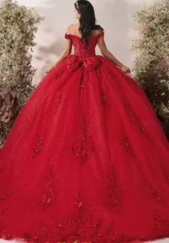 Plus Sized Quince Dresses^LizLuo Quinceanera 56548