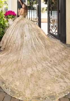 Sweet Sixteen|Plus Sized Quince Dresses^LizLuo Quinceanera 80006