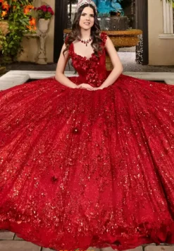 Sweet Sixteen|Plus Sized Quince Dresses^LizLuo Quinceanera 80006