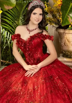Sweet Sixteen|Plus Sized Quince Dresses^LizLuo Quinceanera 80006