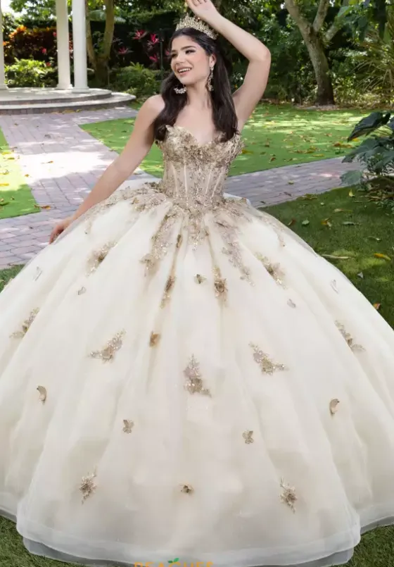 Sweet Sixteen|Plus Sized Quince Dresses^LizLuo Quinceanera 56525