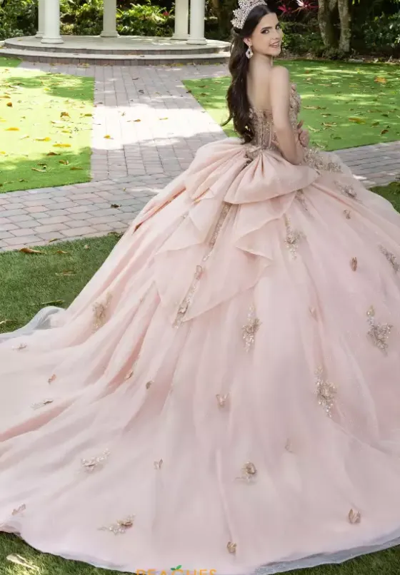 Sweet Sixteen|Plus Sized Quince Dresses^LizLuo Quinceanera 56525