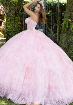 Plus Sized Quince Dresses|Sweet Sixteen^LizLuo Quinceanera 56528