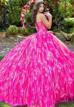 Plus Sized Quince Dresses|Sweet Sixteen^LizLuo Quinceanera 56528