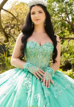 Plus Sized Quince Dresses|Sweet Sixteen^LizLuo Quinceanera 56514