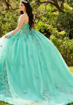 Plus Sized Quince Dresses|Sweet Sixteen^LizLuo Quinceanera 56514