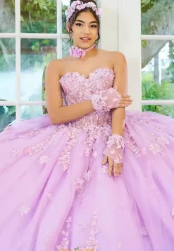 Plus Sized Quince Dresses|Sweet Sixteen^LizLuo Quinceanera 56514