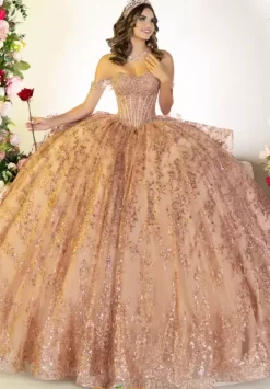 Sweet Sixteen|Plus Sized Quince Dresses^LizLuo Quinceanera 26133