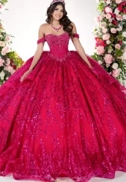 Sweet Sixteen|Plus Sized Quince Dresses^LizLuo Quinceanera 26133