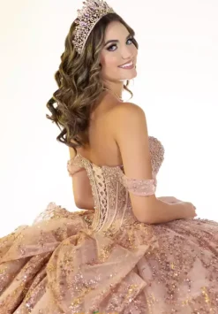 Sweet Sixteen|Plus Sized Quince Dresses^LizLuo Quinceanera 26133