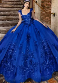 Plus Sized Quince Dresses|Sweet Sixteen^LizLuo Quinceanera 80047